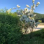 Holiday home Le Romulus Roumoules