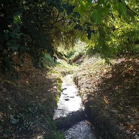 Le Romulus Сasa de vacaciones