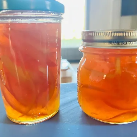 Le Romulus Сasa de vacaciones