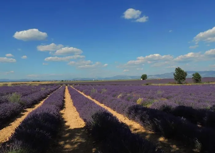 Le Romulus * Roumoules