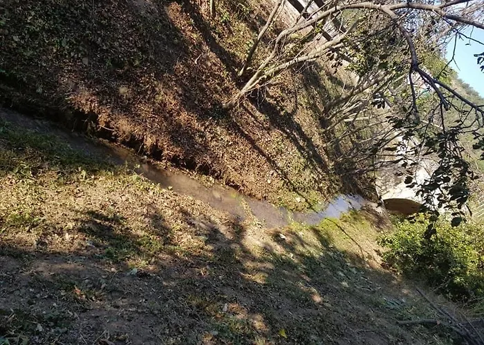 Holiday home Le Romulus Roumoules