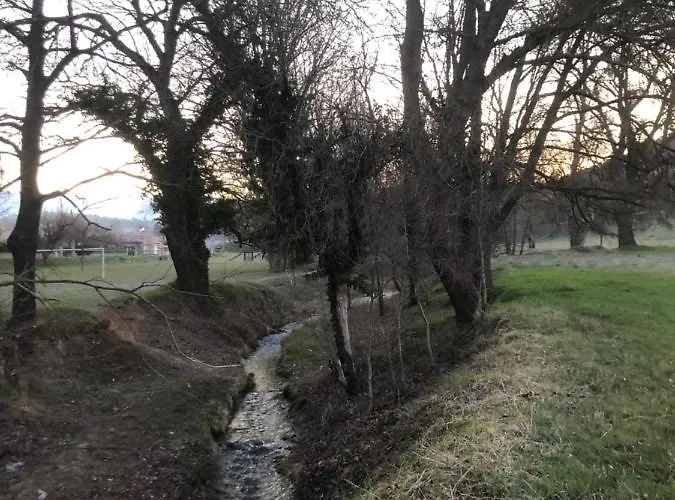 Le Romulus * Roumoules