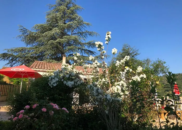 Le Romulus Roumoules