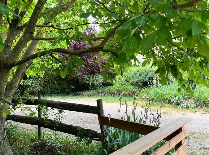 Holiday home Le Romulus Roumoules