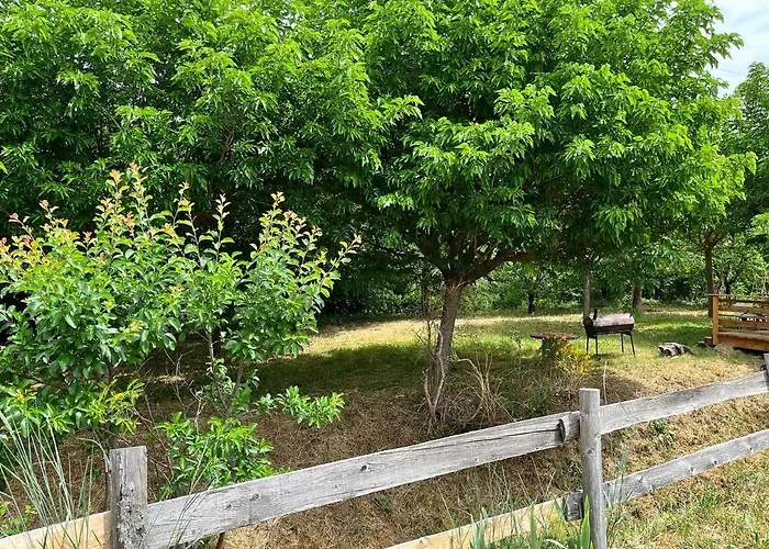 Le Romulus * Roumoules