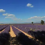 Le Romulus * Roumoules