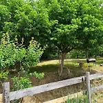 Le Romulus * Roumoules