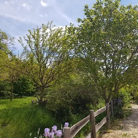 Holiday home Le Romulus