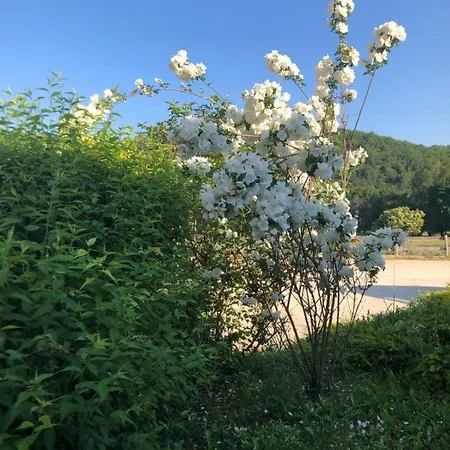 Holiday home Le Romulus Roumoules