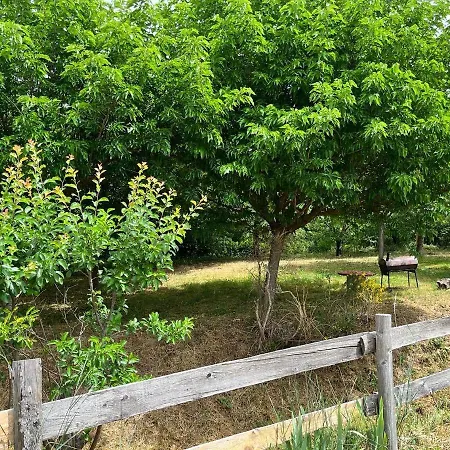 Le Romulus * Roumoules