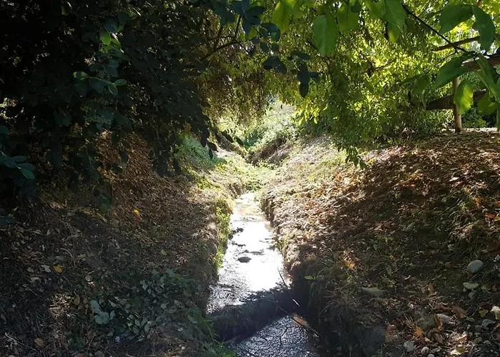 Le Romulus Hébergement de vacances