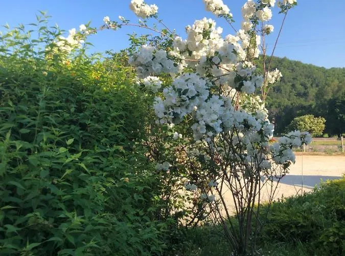 Hébergement de vacances Le Romulus Roumoules