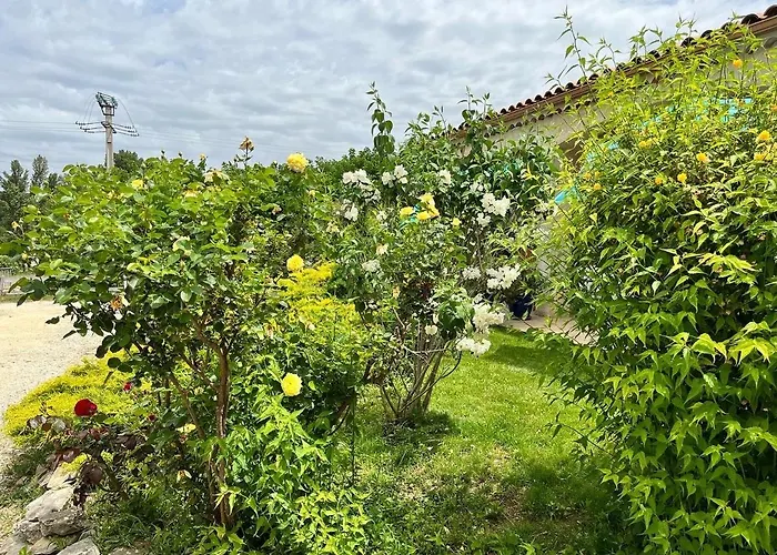 Le Romulus * Roumoules