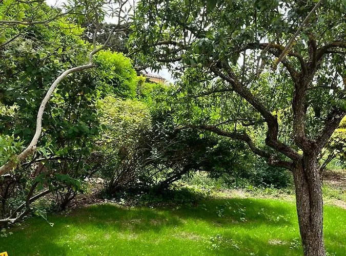 Hébergement de vacances Le Romulus