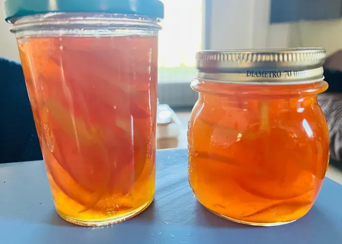 Le Romulus Hébergement de vacances